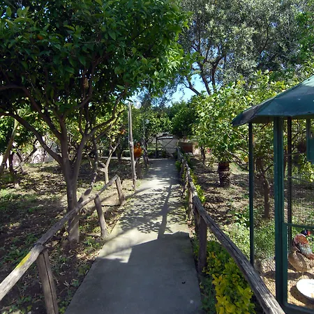 Hotel Av Club Terme Colella 3*