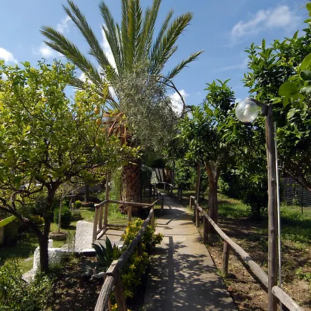 Av Club Terme Colella 3* Forio (Isola d'Ischia)
